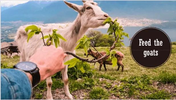 Hướng dẫn cách làm việc với nhiều hình ảnh trong PowerPoint